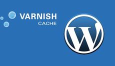 Varnish + Wordpress = Fast