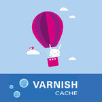 Varnish Cache Setup