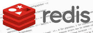 Install Redis Full Page Caching Magento Enterprise